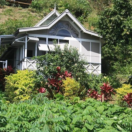 Gingerbread Cottage And Studio Fiji Savusavu Luaran gambar