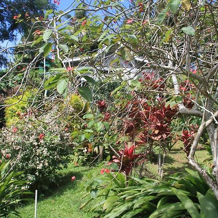 Gingerbread Cottage And Studio Fiji Savusavu Luaran gambar