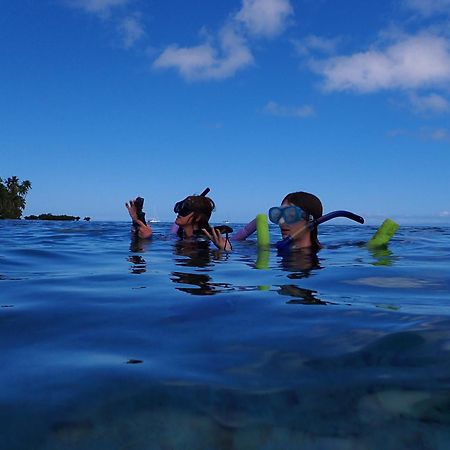 Gingerbread Cottage And Studio Fiji Savusavu Luaran gambar
