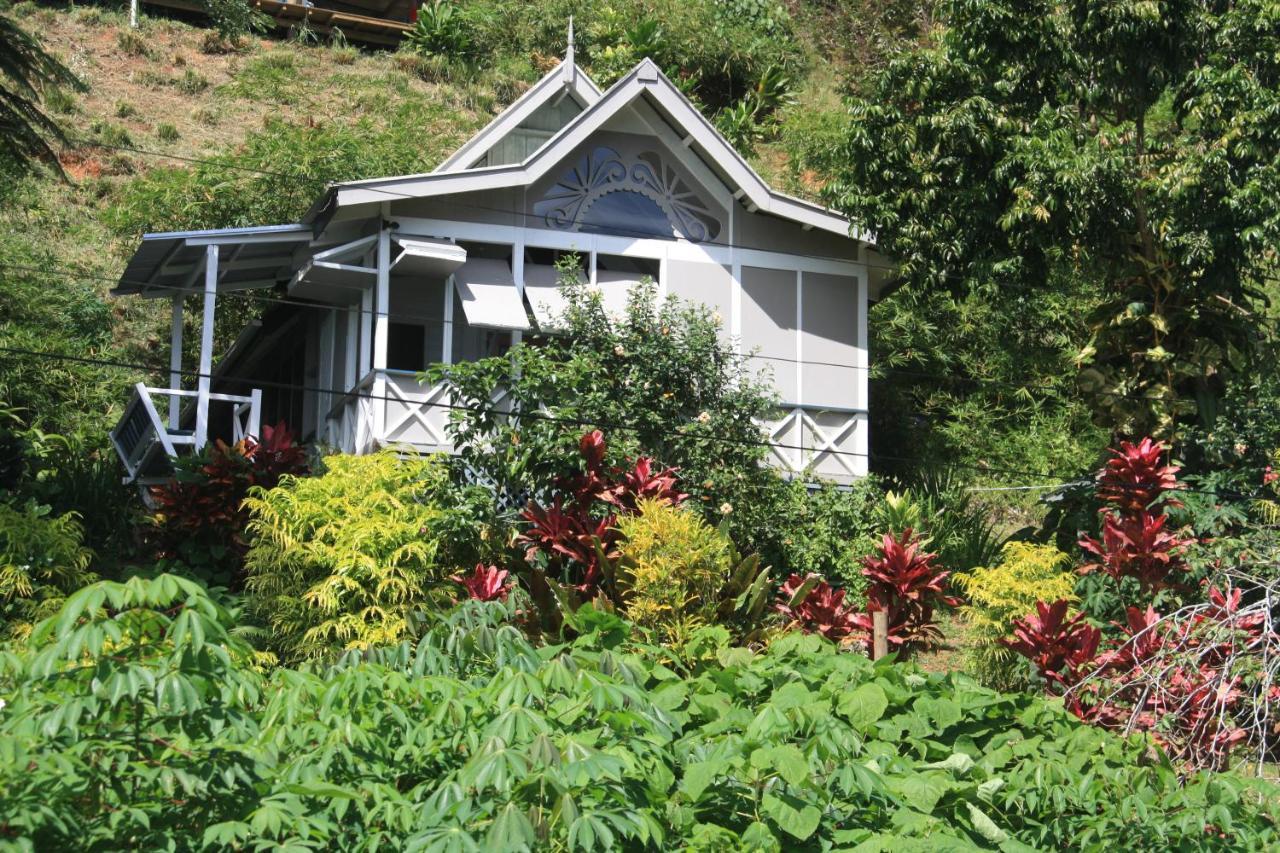 Gingerbread Cottage And Studio Fiji Savusavu Luaran gambar