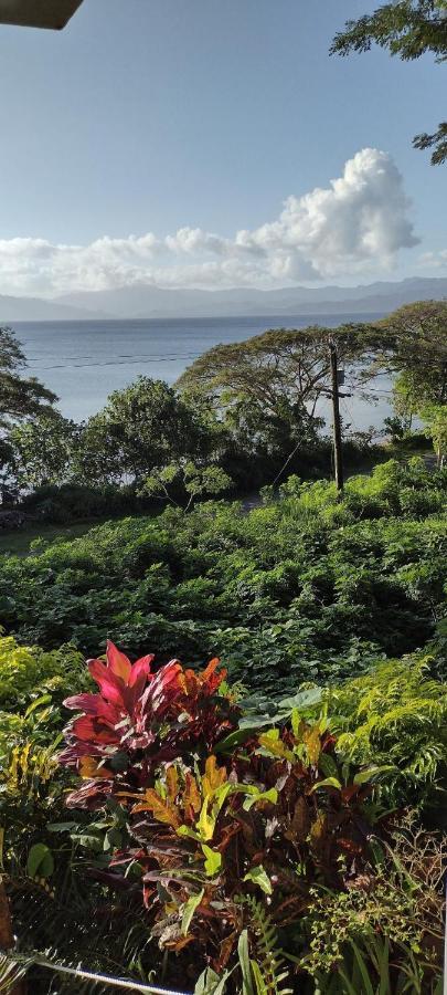 Gingerbread Cottage And Studio Fiji Savusavu Luaran gambar