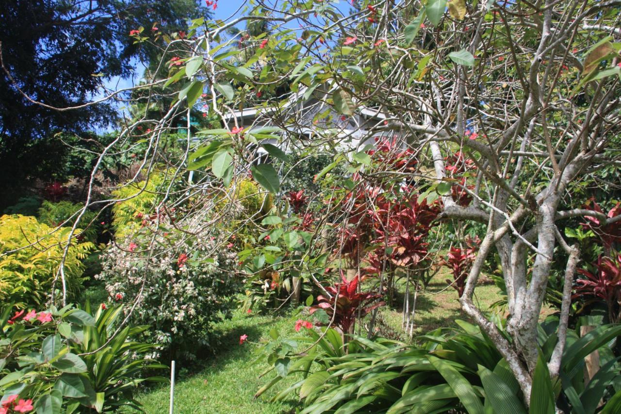 Gingerbread Cottage And Studio Fiji Savusavu Luaran gambar